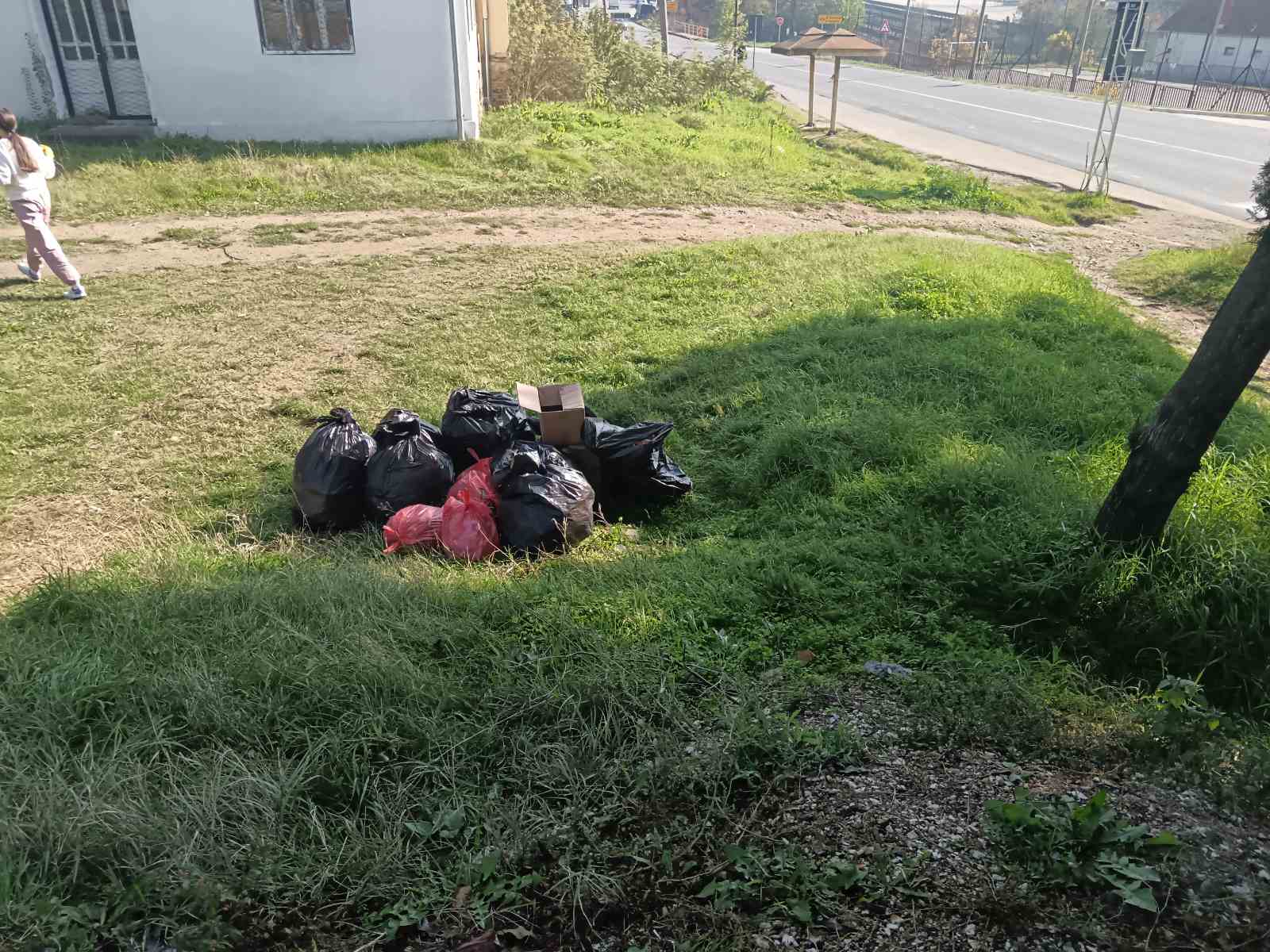 Gradski većnik i đaci čiste okruženje